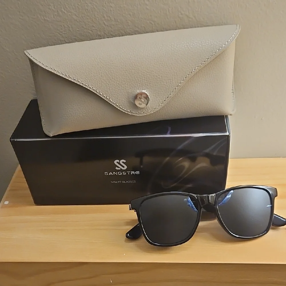 Sangstre Black Audio Smart Glasses with Gray Case